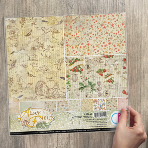 469 Set papiers 12x12 Aesop's Fables CBT046 Isaleocrea Saint Pourçain sur Sioule Allier Auvergne