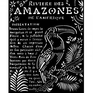 1136 Pochoir épais 20X25 cm - Amazonia toucan Isaleocrea Saint Pourçain sur Sioule Allieer Auvergne
