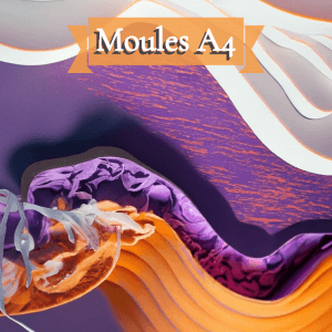 Moules A4